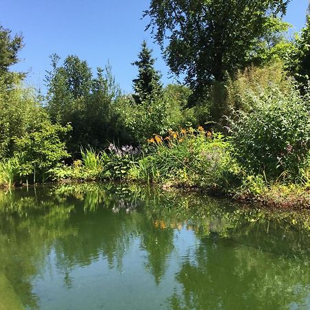 Huisje De Geluksvogel Zorgvlied 外观 照片