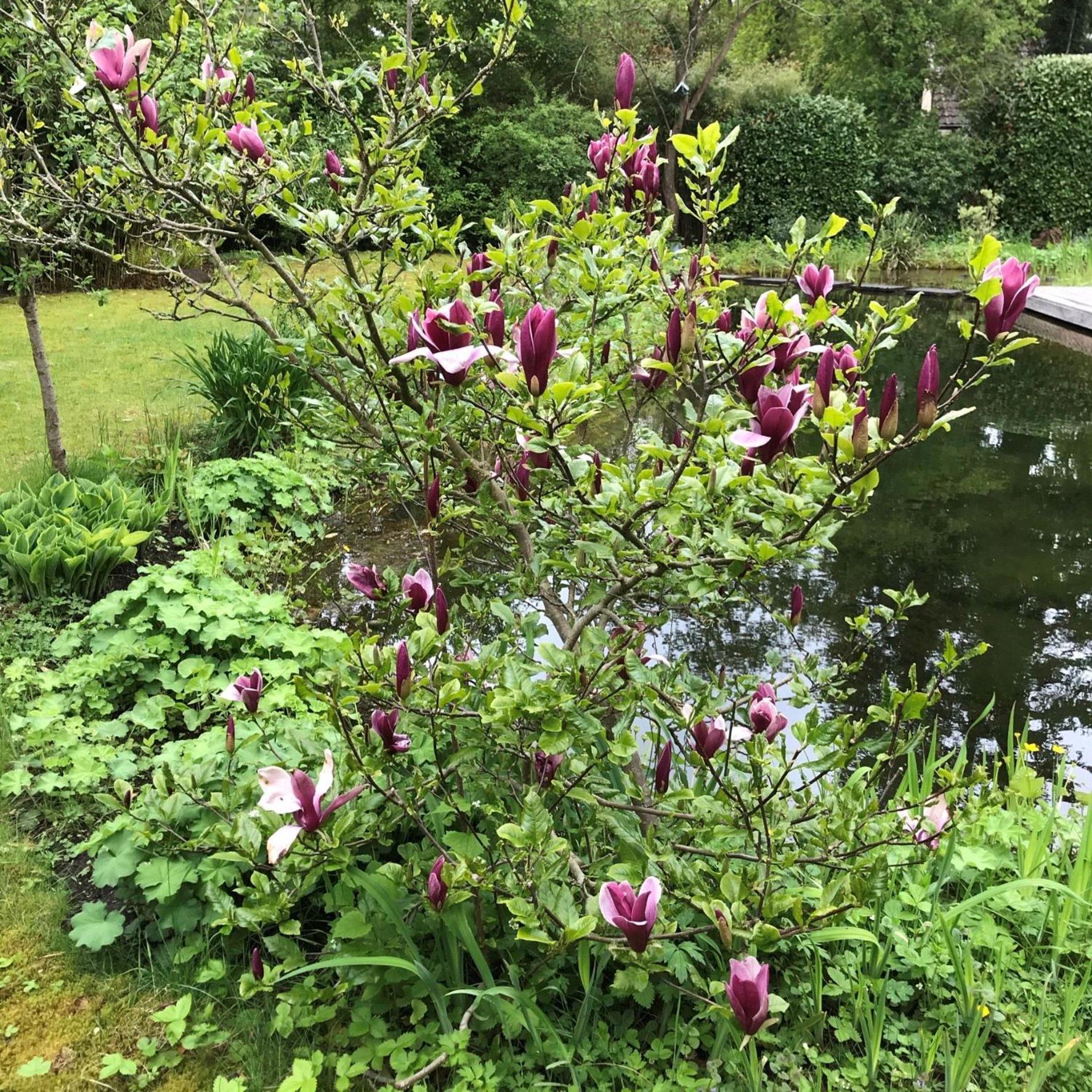 Huisje De Geluksvogel Zorgvlied 外观 照片